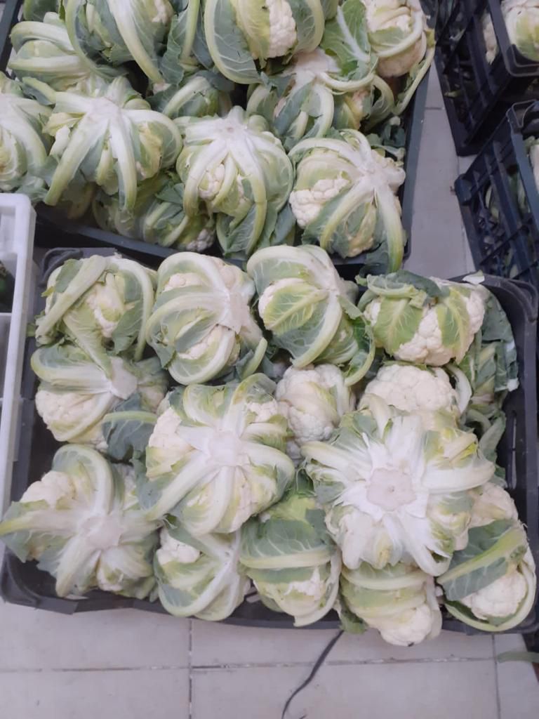 Cauli Flower